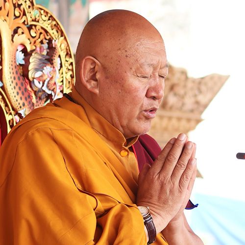 S.E. Drikung Kyabgon Chetsang